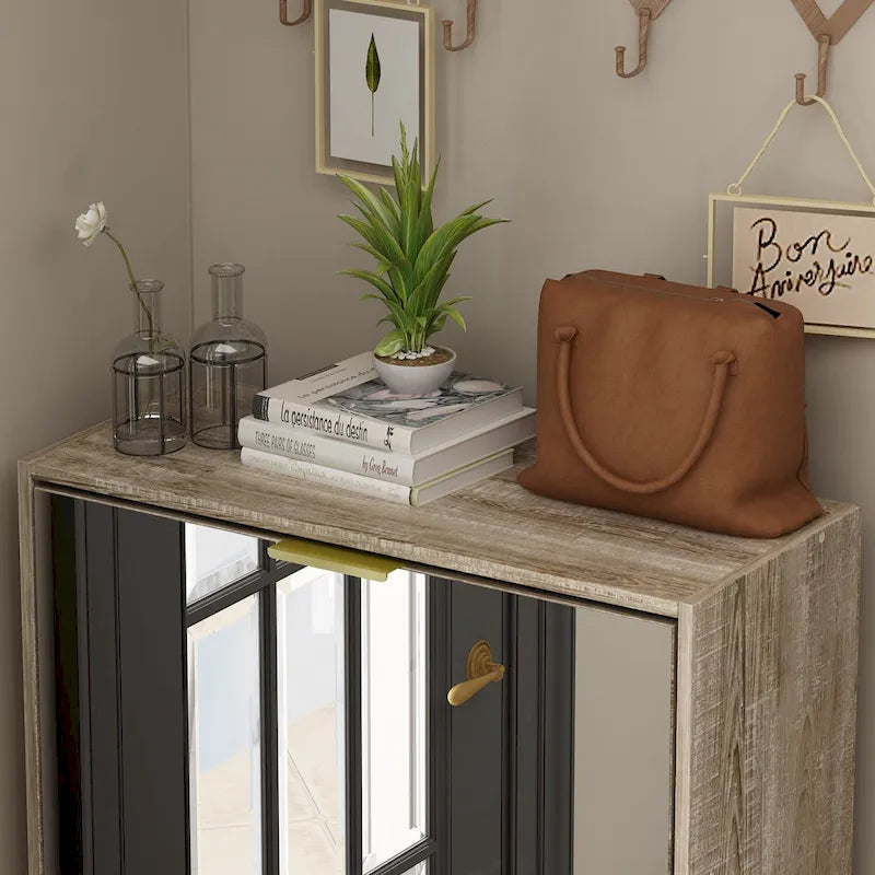 Floor Standing Mirror Shoe Cabinet Closet Shoe Organizers