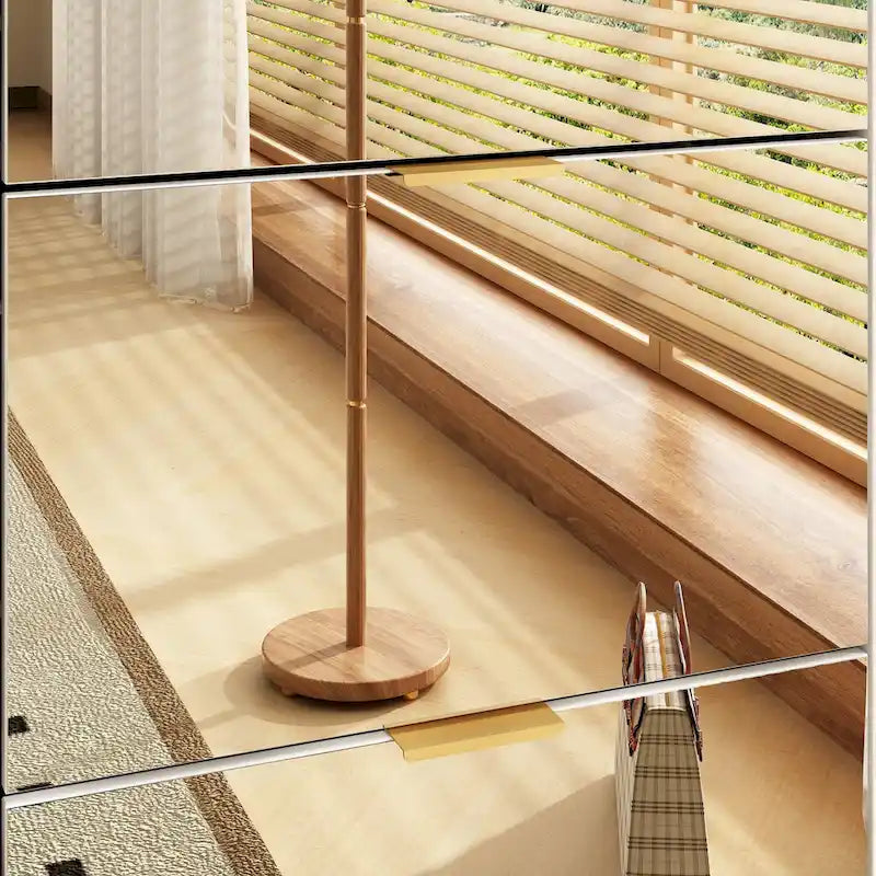 Floor Standing Mirror Shoe Cabinet Closet Shoe Organizers