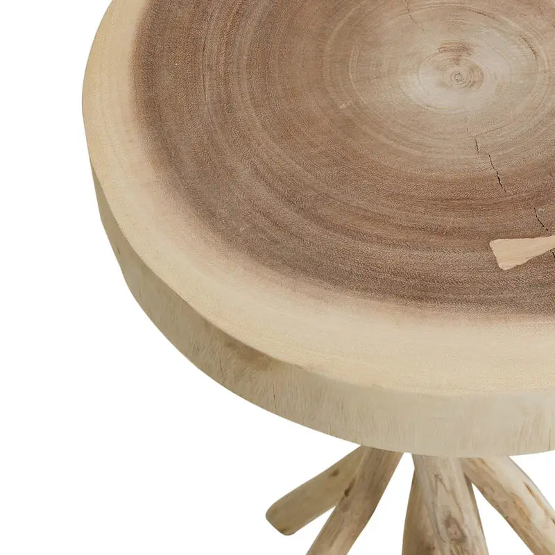 Solid Wood Cross-Cut Accent Table With Branch Base - Small
